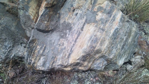 Гигантские зелёные валуны для ландшафтного дизайна весом более 5 тонн купить в Нижних Сергах