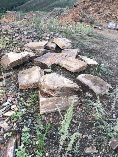 Пошаговая дорожка из плит златолит кора дерева купить в Нижних Сергах